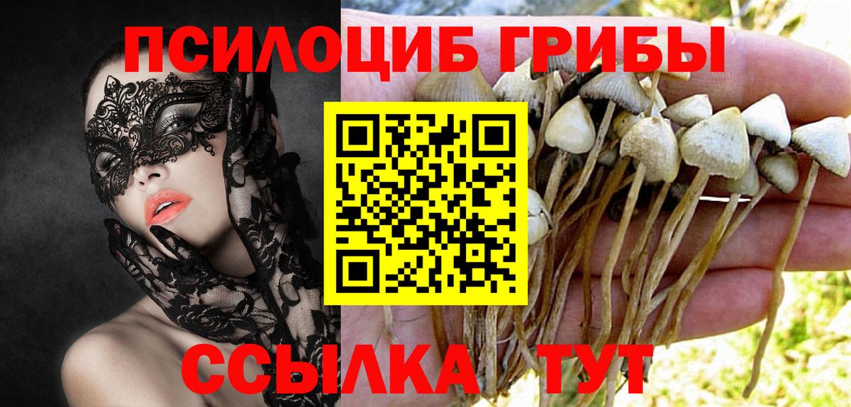 APVP Спасск-Дальний