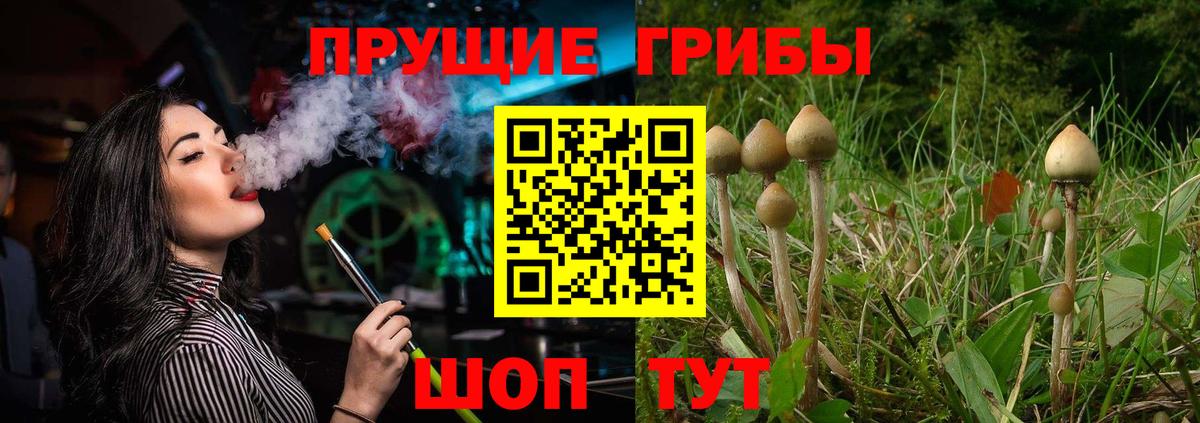 Спасск-Дальний  Галлюциногенные грибы мухоморы  Псилоцибиновые грибы мицелий  Вход с VPN 