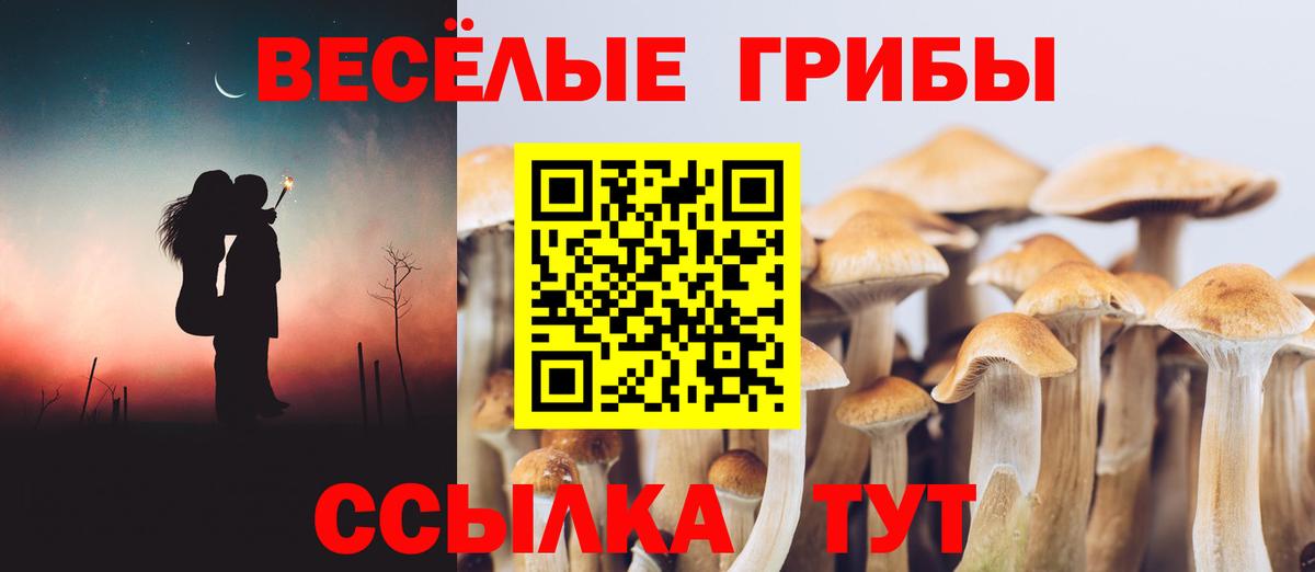 Псилоцибиновые грибы прущие грибы Спасск-Дальний
